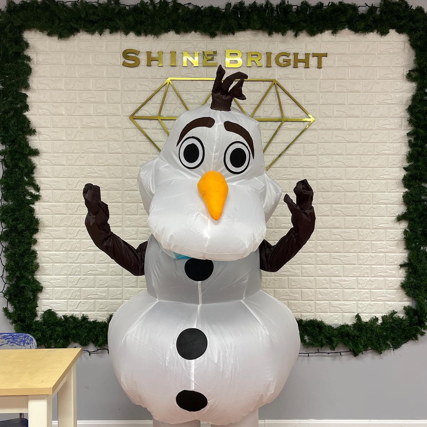 Frozen Themed Party